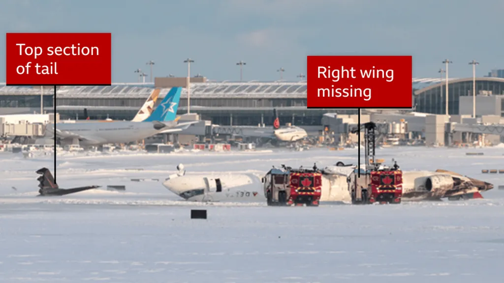 The Toronto Plane Crash: A Remarkable Survival Story